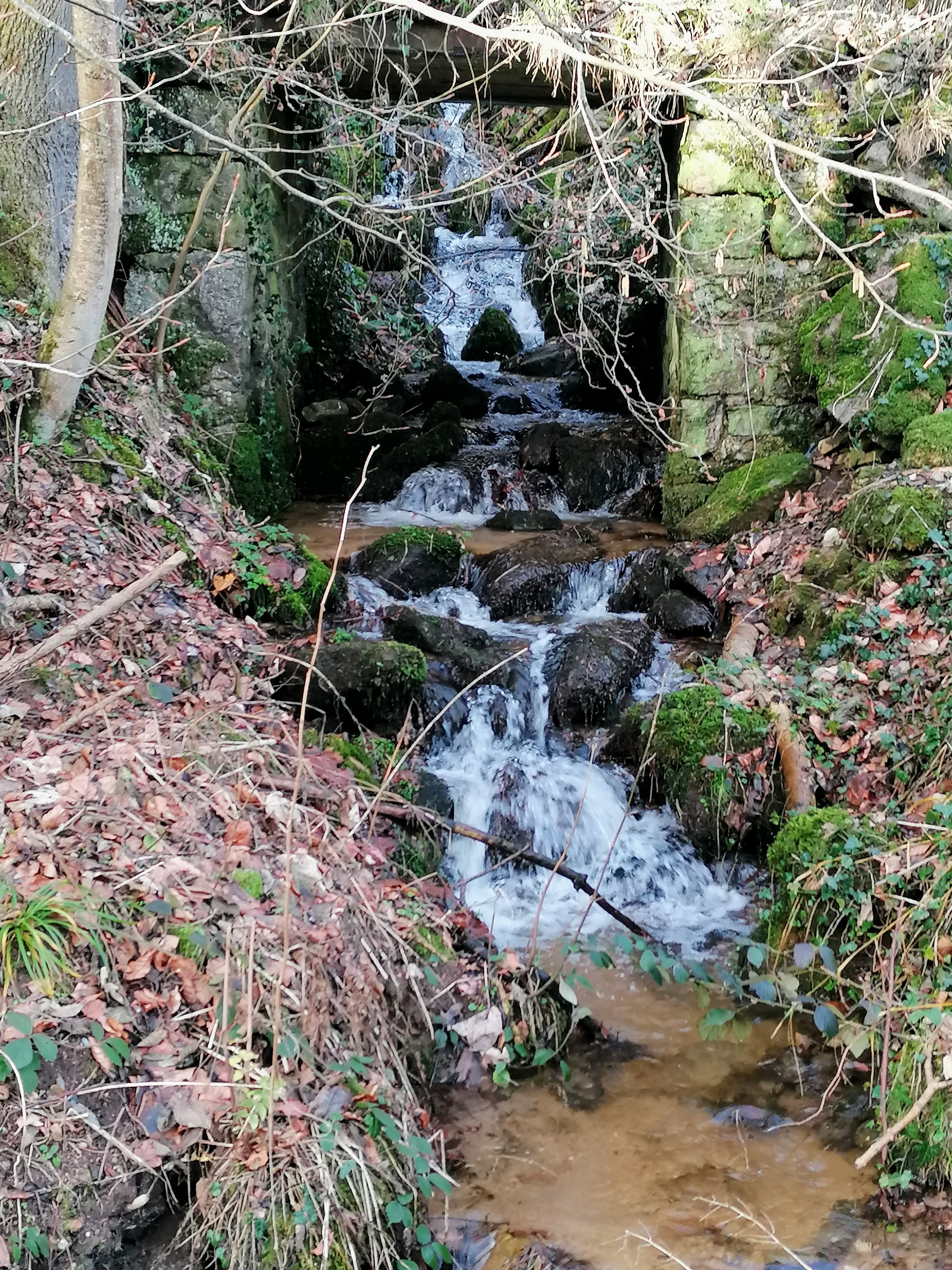 Photo n° 2 de l'avis de BREDEL.u fait le 03/01/2023 à 16:59