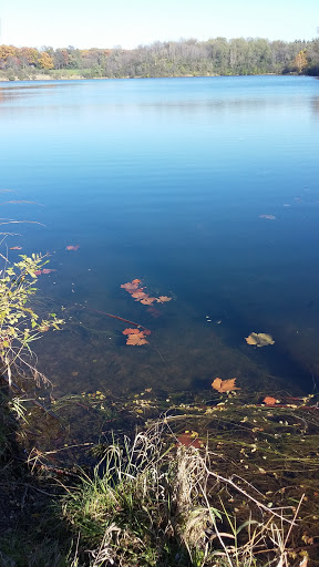 Nature Preserve «Blackwell Forest Preserve», reviews and photos, Butterfield Rd, Warrenville, IL 60555, USA