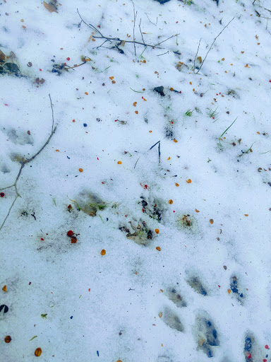 Nature Preserve «Kelley Nature Preserve», reviews and photos, 297 OH-126, Loveland, OH 45140, USA