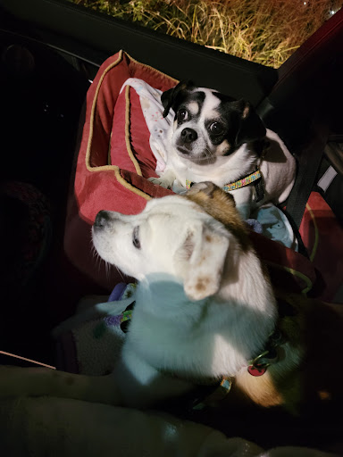 Fast Food Restaurant «Chick-fil-A», reviews and photos, 19531 Coastal Hwy, Rehoboth Beach, DE 19971, USA