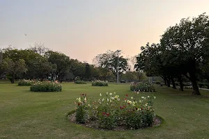 Dahlia Garden image