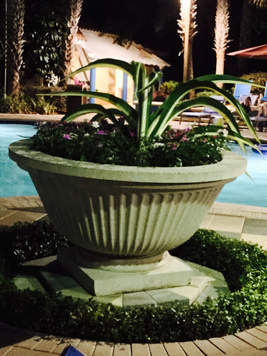 Golf Club «Marriott Golf Academy», reviews and photos, 12001 Ave Verde, Orlando, FL 32821, USA