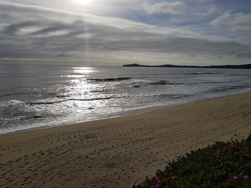 Mexican Restaurant «Mercado & Taqueria De Amigos», reviews and photos, 1999 Pescadero Creek Rd, Pescadero, CA 94060, USA