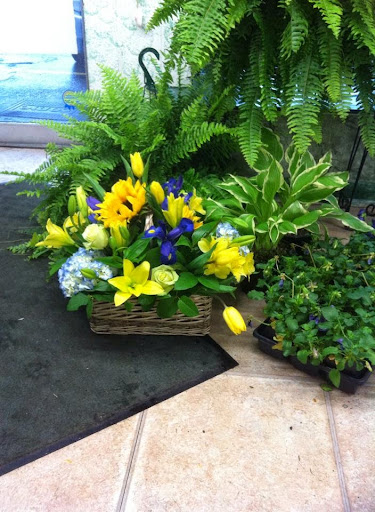 Florist «McCandless Floral», reviews and photos, 8105 Perry Hwy, Pittsburgh, PA 15237, USA