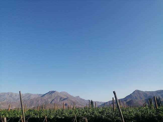 Fundo La Capellania - Rinconada