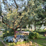 Photo n°9 de l'avis de Marta.e fait le 29/05/2023 à 05:24 sur le  Ristorante La Montanella à Arquà Petrarca