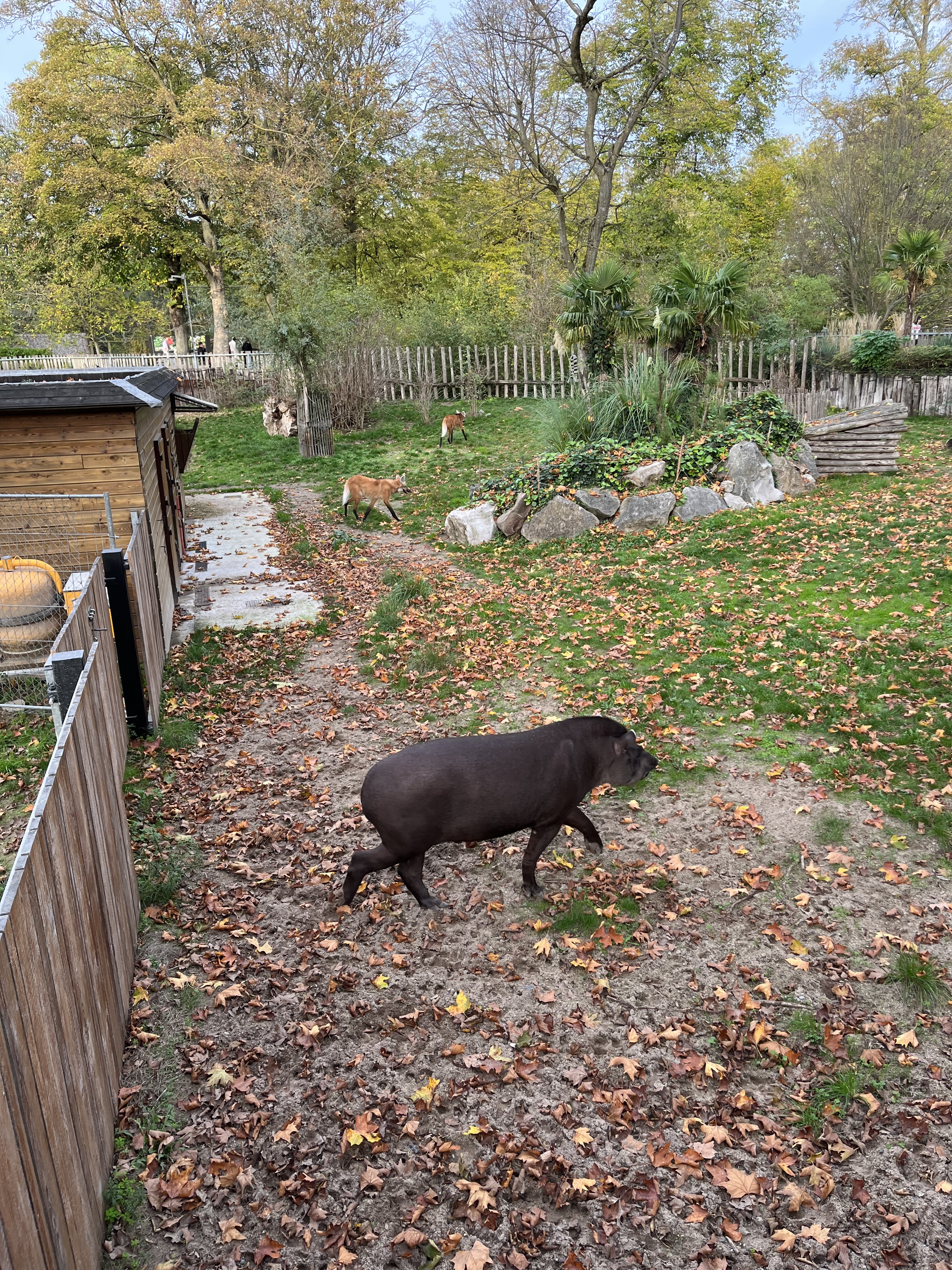 Photo n° 3 de l'avis de Célia.� fait le 07/11/2022 à 16:52