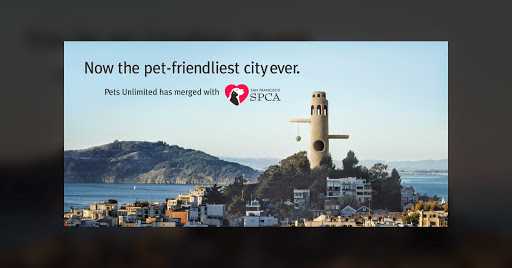 San Francisco SPCA Veterinary Hospital Pacific Heights