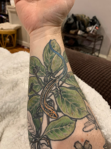 Tattoo Shop «Frequency Tattoo Company», reviews and photos, 4038 Ridge Ave, Philadelphia, PA 19129, USA