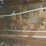 Photo n°9 de l'avis de luigi.r fait le 16/08/2019 à 21:40 sur le  Casale di Teverolaccio à Succivo