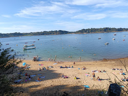 Photo de Roc'h Hir Beach avec un rivage droit