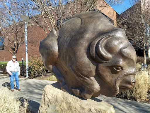 Art Museum «Wichita Art Museum», reviews and photos, 1400 Museum Blvd, Wichita, KS 67203, USA