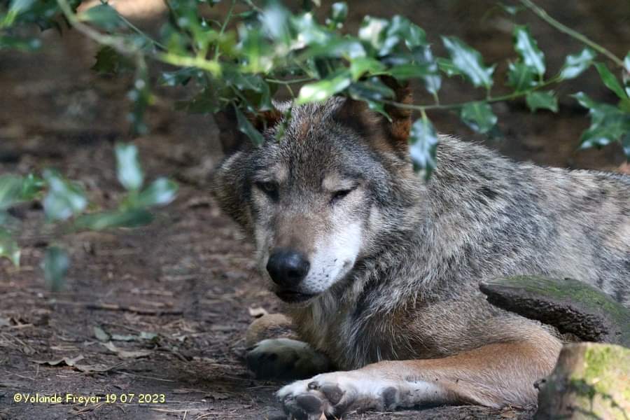 Photo n° 15 de l'avis de yolande.r fait le 24/10/2023 à 19:03