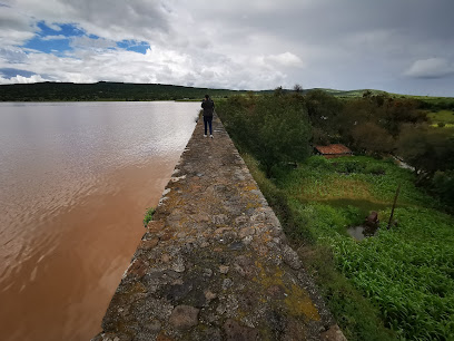 Presa De Abadiano