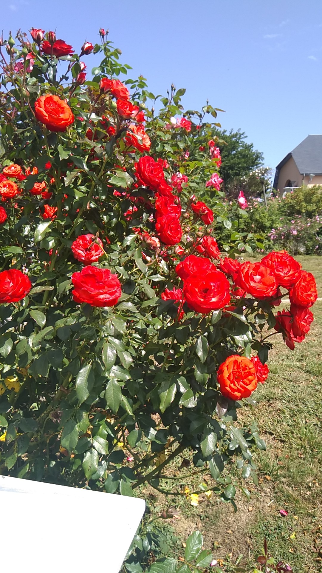 Photo n° 2 de l'avis de Émeline. fait le 22/09/2019 à 17:56