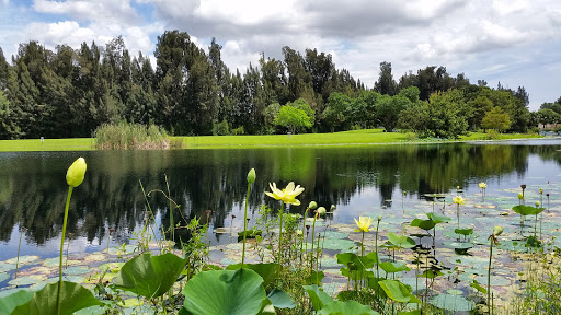 Park «Plantation Heritage Park», reviews and photos, 1100 S Fig Tree Ln, Plantation, FL 33317, USA