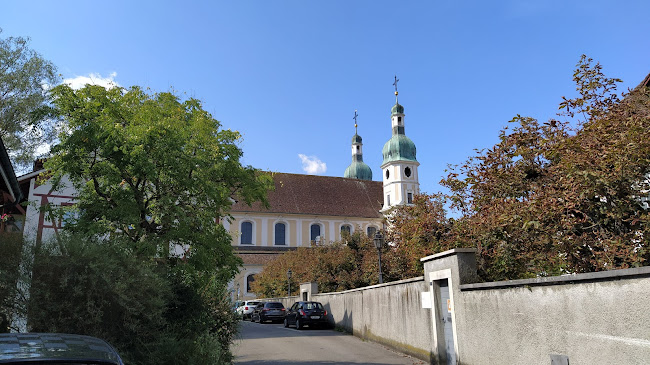 Arlesheimer Dom - Kirche