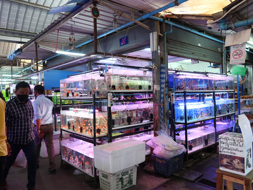 ร้านขายปลา กรุงเทพฯ