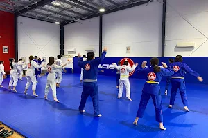 Gracie Barra Hunter Valley Brazilian Jiu Jitsu & Self Defence image