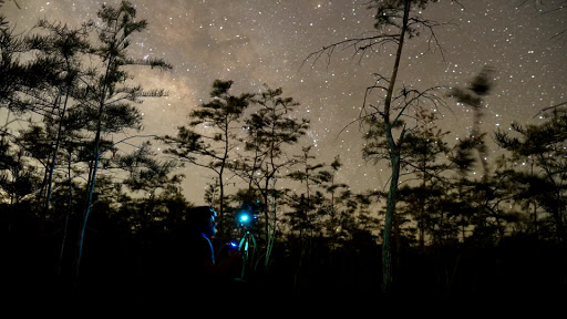 Nature Preserve «Big Cypress National Preserve», reviews and photos