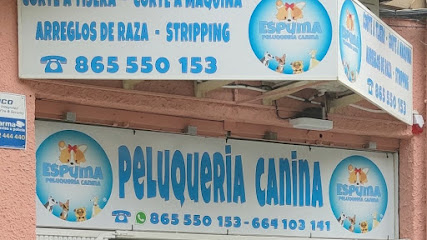 Peluqueria Canina Espuma - Servicios para mascota en Alicante (Alacant)