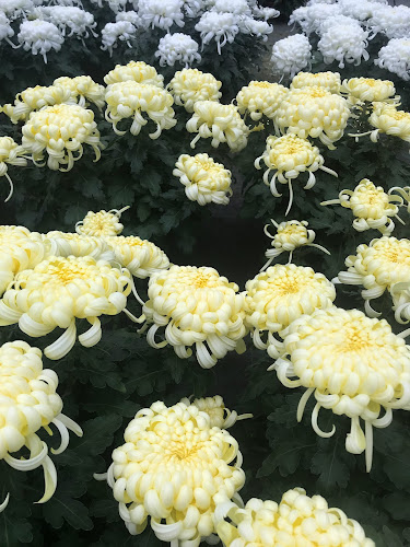 Centrum Ogrodnicze Roślinarium