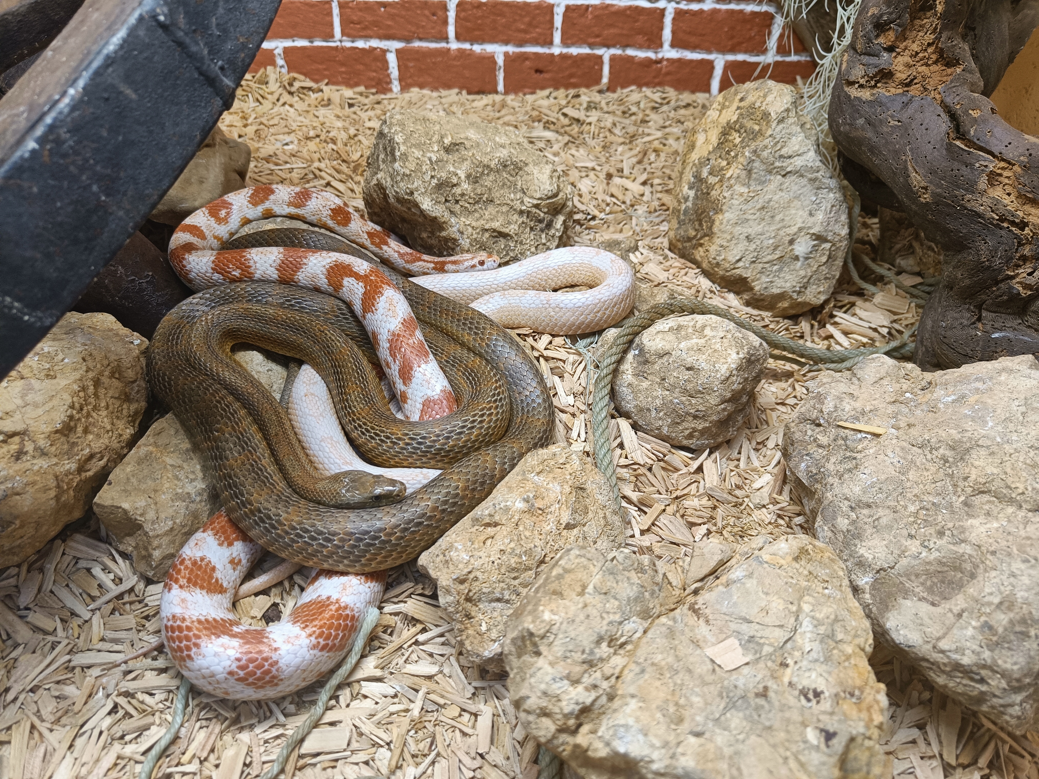 Photo n° 5 de l'avis de Kris.e fait le 16/07/2023 à 15:36