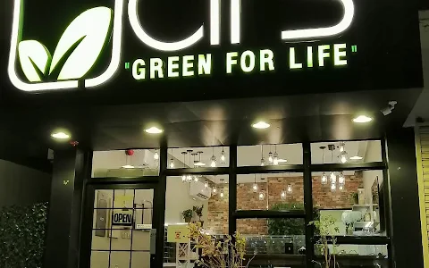 Jars "Green for life" image
