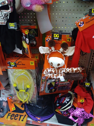 Discount Store «Dollar General», reviews and photos, 453 W Commercial St, East Rochester, NY 14445, USA