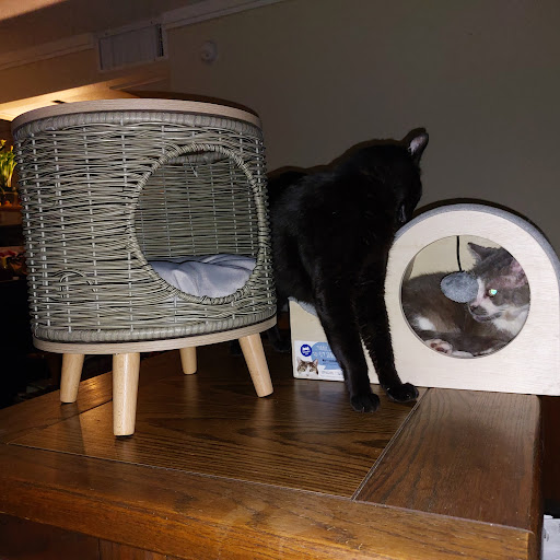 PetSmart image