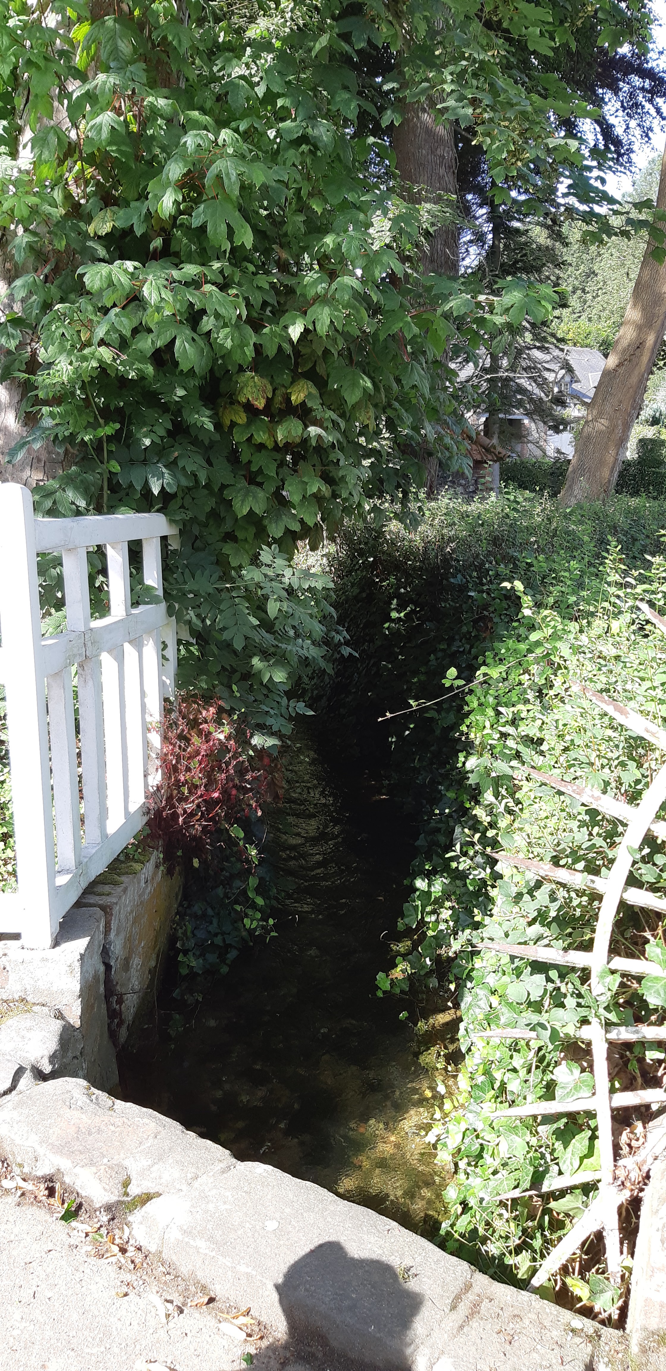 Photo n° 11 de l'avis de David.r fait le 02/08/2018 à 11:45