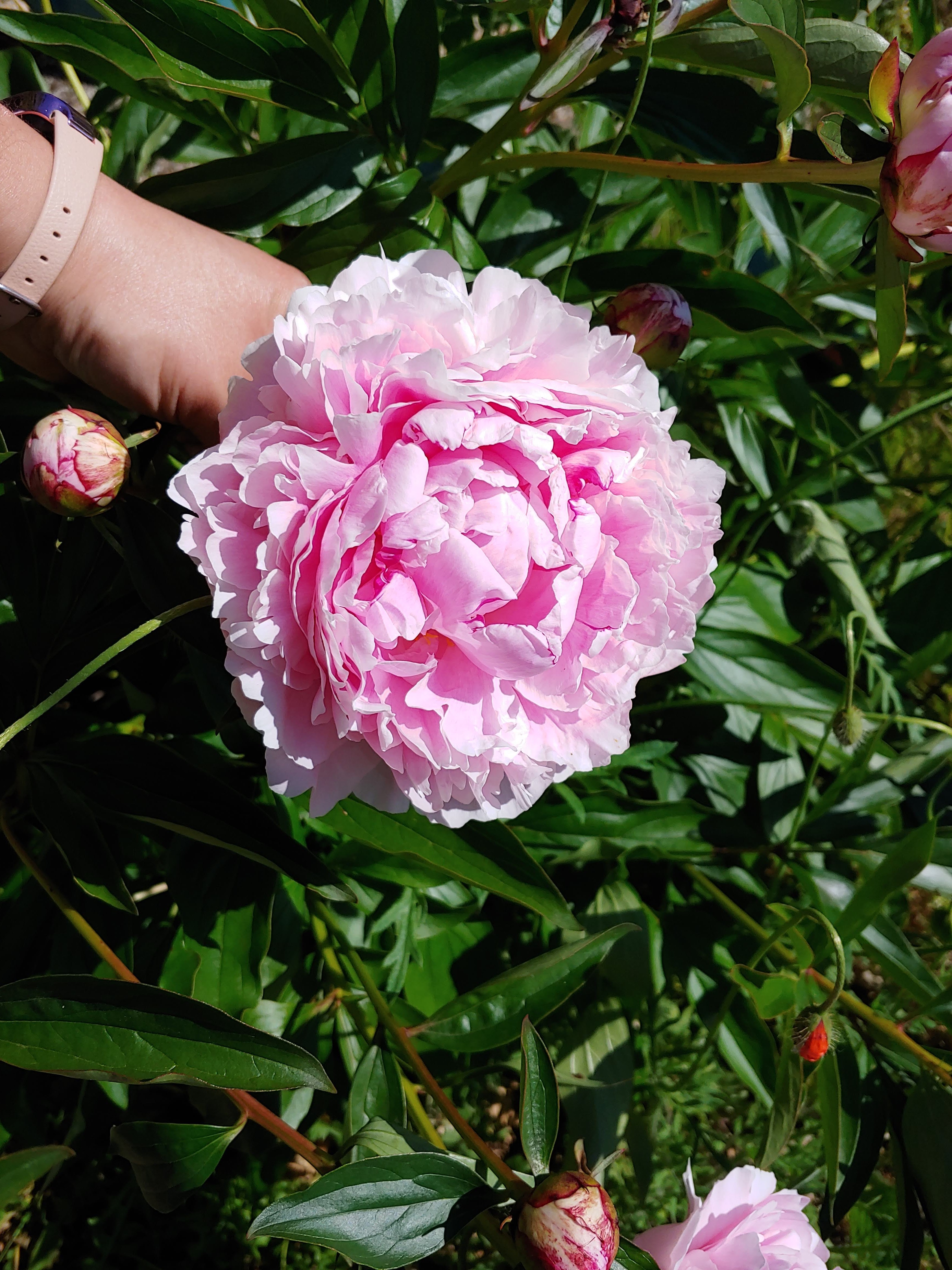 Photo n° 3 de l'avis de Isabelle.G fait le 27/07/2020 à 11:11