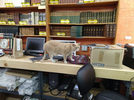 The Iliad Bookshop image