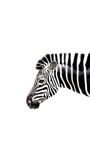 Auto Repair Shop «Ace Tech Auto Repair», reviews and photos, 937 60th St, Brooklyn, NY 11219, USA