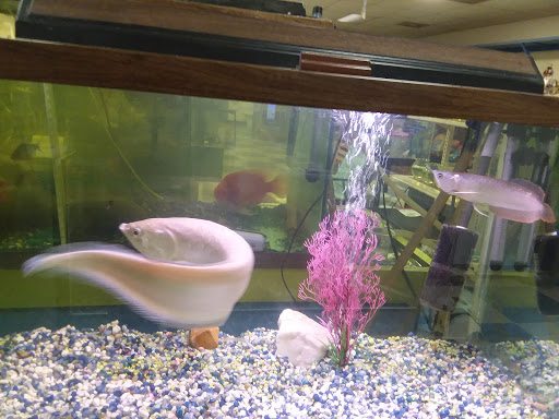 Pet Store «Fish & Pets Ranch», reviews and photos, 10100 Kleckley Dr, Houston, TX 77075, USA