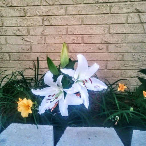 Funeral Home «David Russell Funeral Home and Cremation», reviews and photos, 2005 Bartow Rd, Lakeland, FL 33801, USA