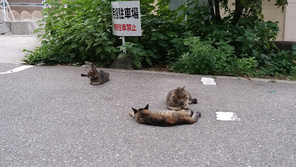 賀茂神社