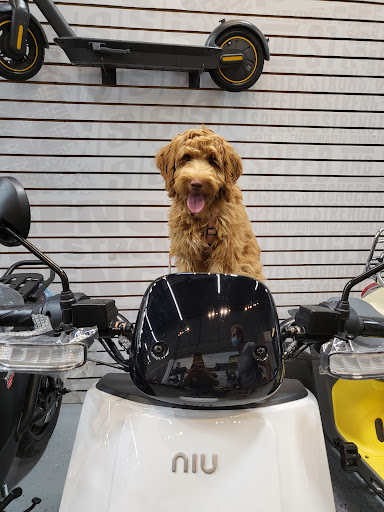 Motor Scooter Dealer «College Scooters», reviews and photos, 5112 Roanoke Pl a, College Park, MD 20740, USA