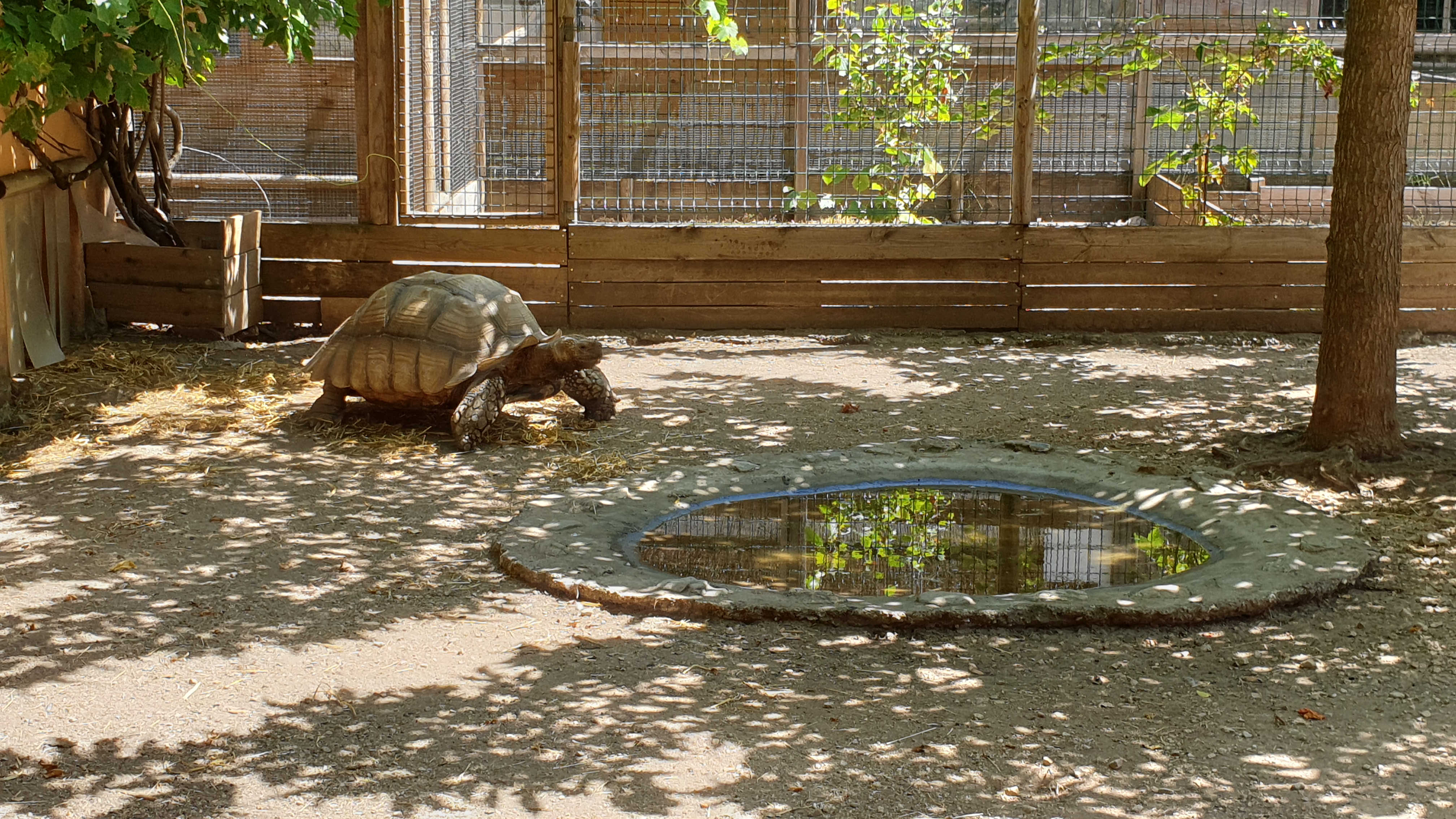 Photo n° 1 de l'avis de Sébastien.a fait le 13/08/2023 à 19:09