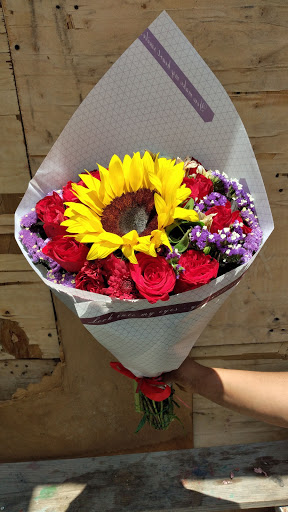 floreria primavera – Montemorelos