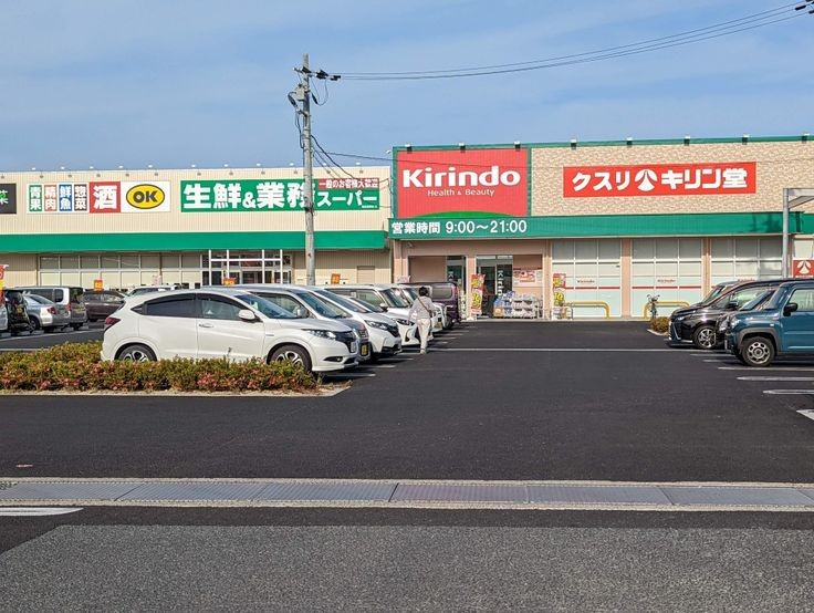 クスリキリン堂 高田新庄店