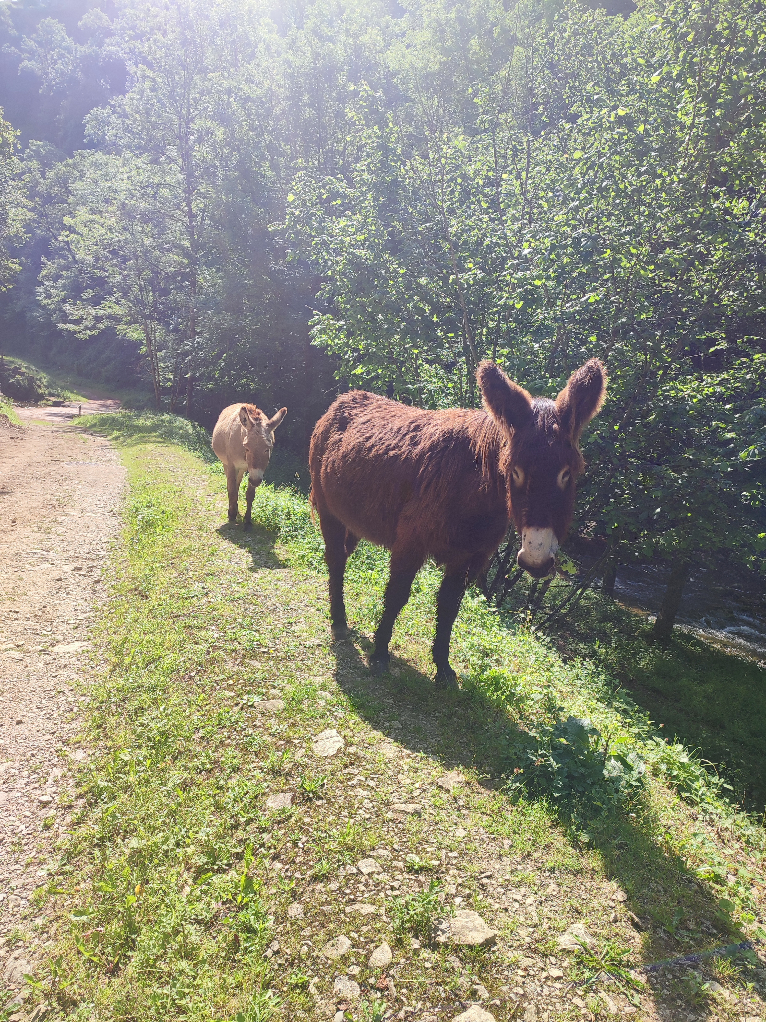Photo n° 1 de l'avis de Noémie.A fait le 06/06/2023 à 13:03