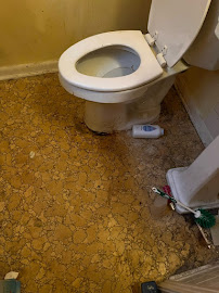 Molly Maid of N. Nashville, Sumner, & Wilson Counties - Photo 3 - Car repair in Old Hickory, TN, Nashville