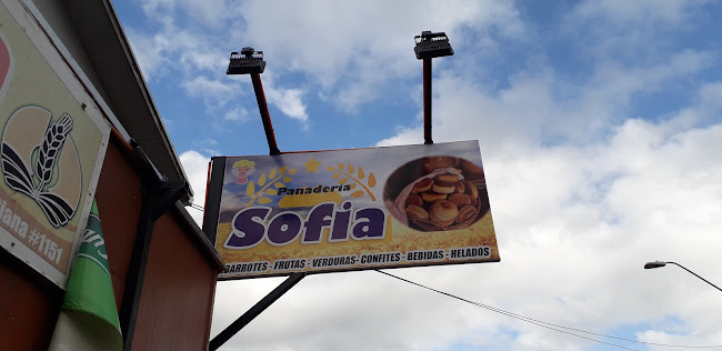 Opiniones de Panadería Sofía en Collipulli - Panadería