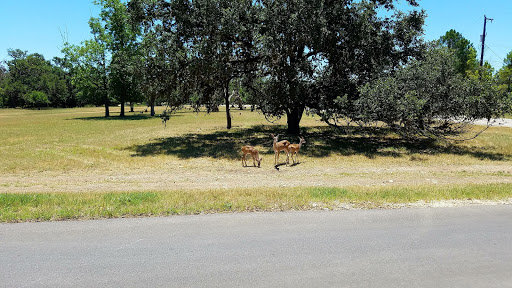 Park «O. P. Schnabel Park», reviews and photos, 9606 Bandera Rd, San Antonio, TX 78250, USA