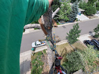 J-Bear's Tree Care and Landscaping Llc - Photo 2 - Car repair in , Columbus