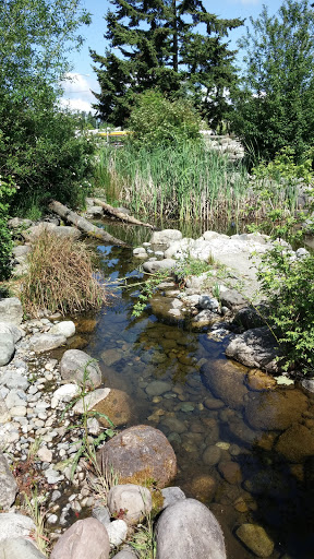 Nature Preserve «Tacoma Nature Center», reviews and photos, 1919 S Tyler St, Tacoma, WA 98405, USA