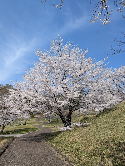 新沢千塚古墳群公園