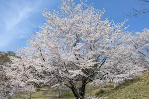 Niizawa Senzuka Ancient Tombs Park image