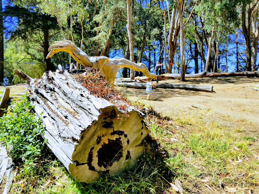 Disc Golf Course «Golden Gate Park Disc Golf Course», reviews and photos, 99 Marx Meadow Dr, San Francisco, CA 94121, USA
